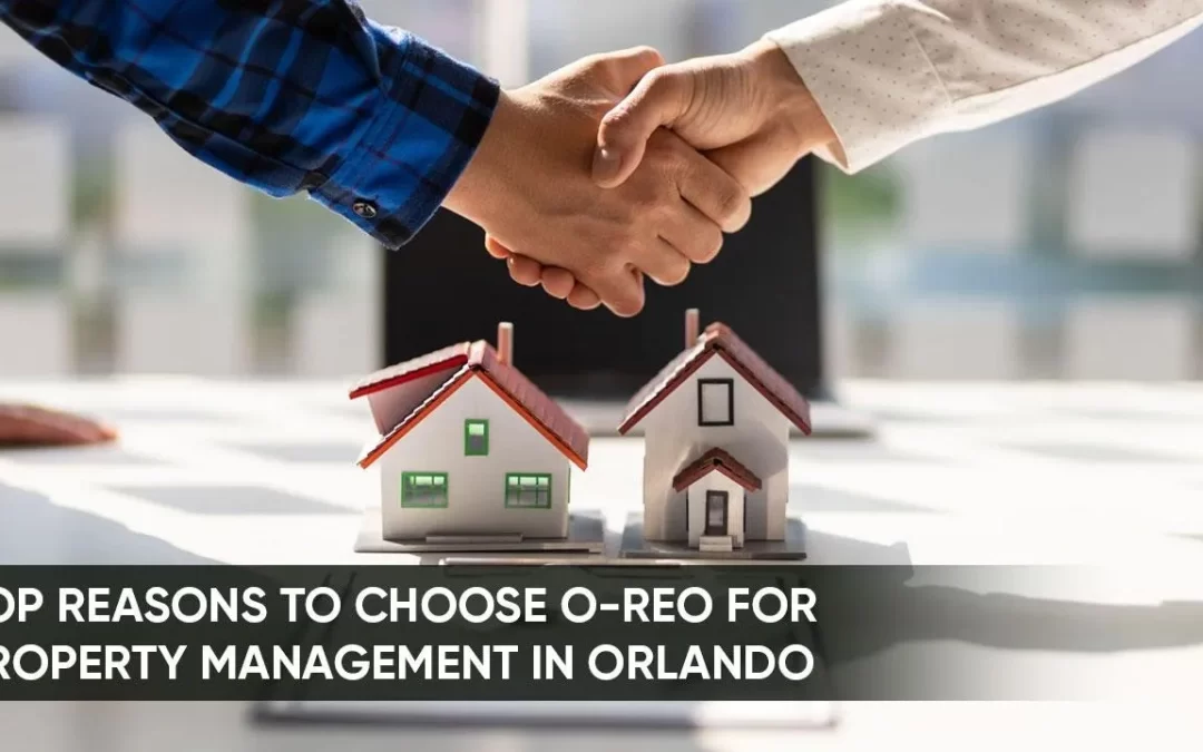 Top Reasons to Choose O-Reo